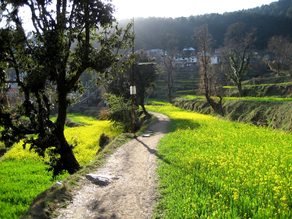 Dharamkot Is a Village, Not a Wellness Theme Park for Other People’s Longing
