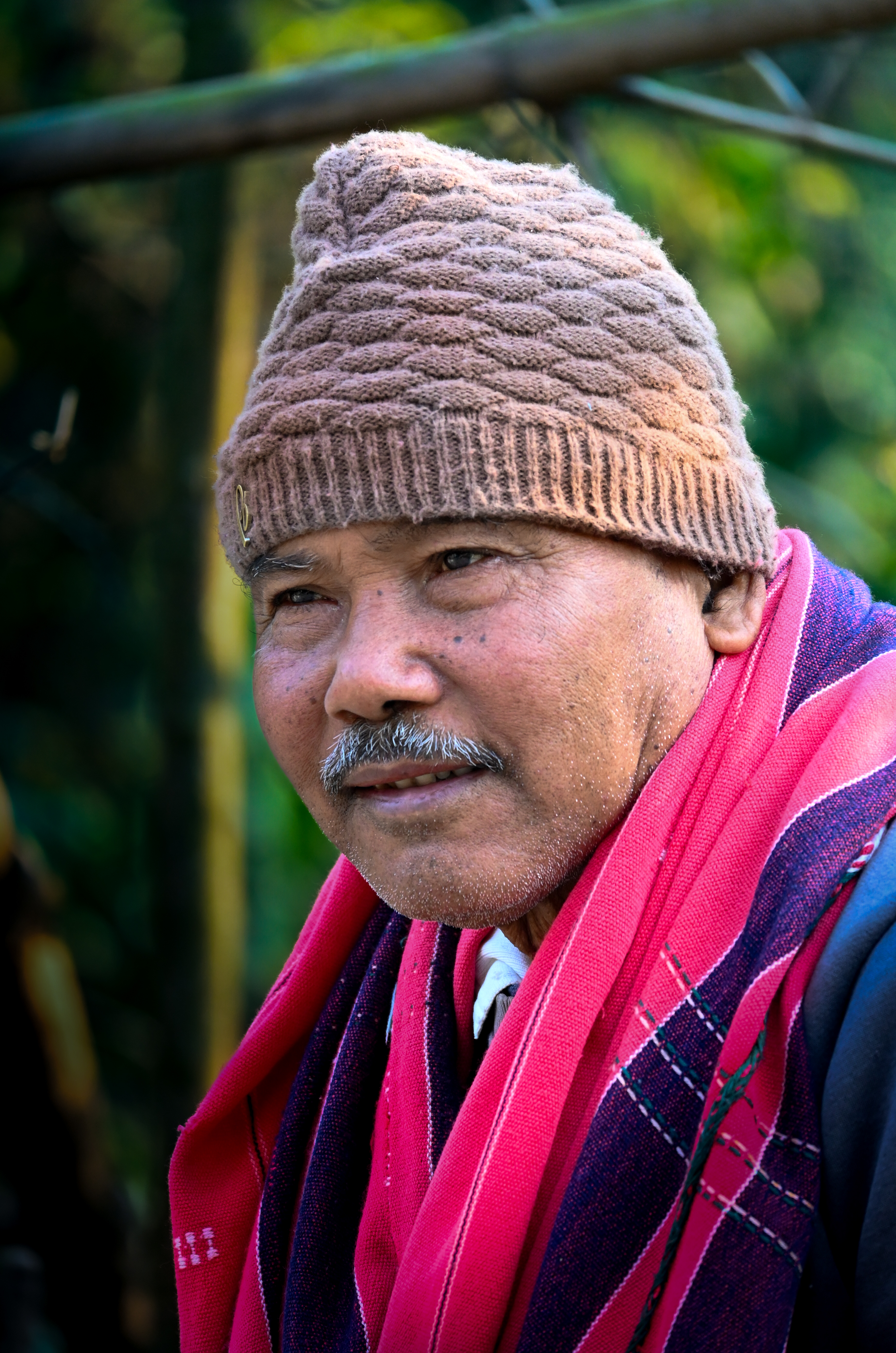 Jadav Payeng’s Forest Matters Because Restoration Is Usually Less Cinematic Than One Hero